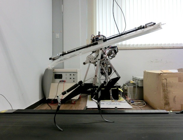 Движения велоцераптора в основе бегущего робота