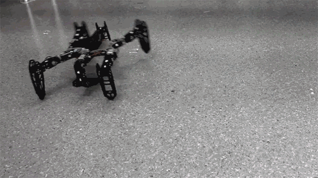 Робот со сломанной ногой снова может ходить