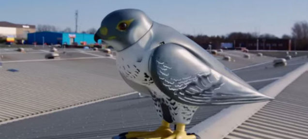 Роботизированная птица-пугало за 6500 $ 