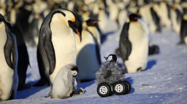 Прелестный робот-пингвин на страже