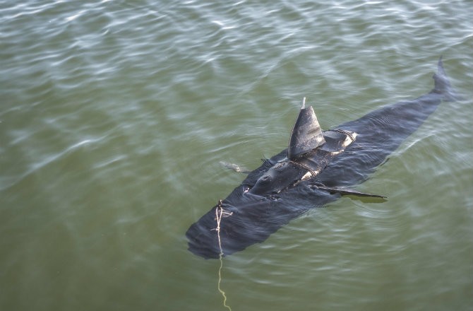 Военно-морской флот начинает использовать роботов-акул. Без шуток!