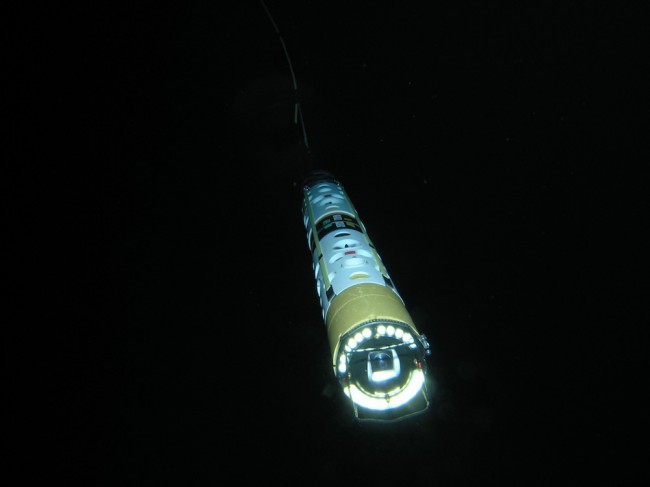 Подводного робота DEEP-SCINI могут использовать в изучении космоса.