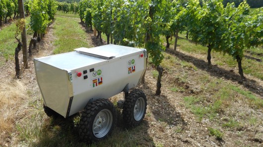 На виноградниках учет ведет VineRobot