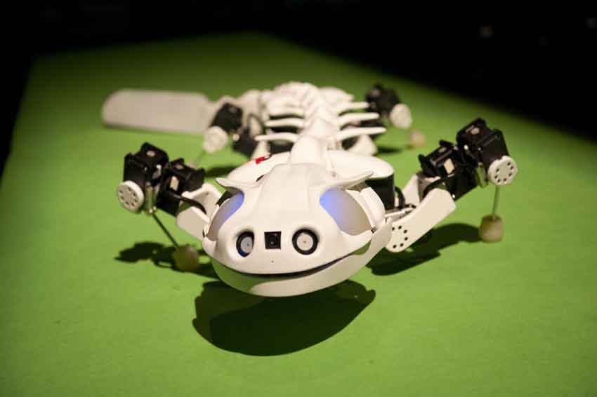 Pleurobot – правдоподобный робот, напоминающий саламандру