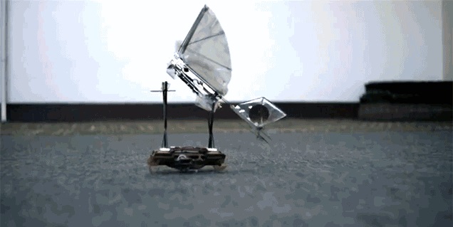Роботизированные тараканы – идеальные крошечные транспортеры для роботов-птиц